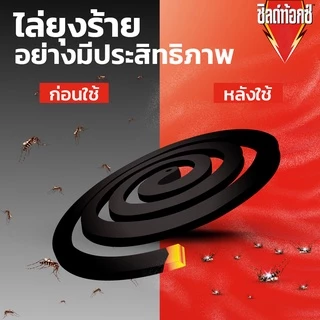 Shieldtox Coil ชิลด์ท้อกซ์ ยาจุดกันยุง ยากันยุงขด สูตรควันน้อย กลิ่นเฮอร์เบิ้ลดีไลท์ 19กรัม 60 กล่อง