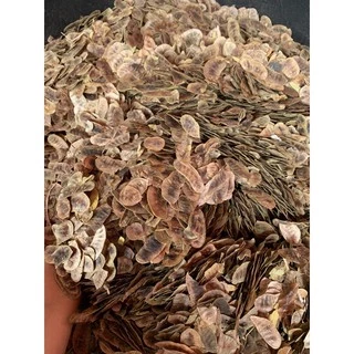 ฝักมะขามแขกเกรดสวย ฝักมะขามแขกคัดพร้อมใช้ได้ทันที บรรจุ1โลราคา110บาท