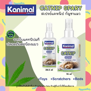 Kanimal Catnip Spray สเปรย์แคทนิป กัญชาแมว มีให้เลือก2ขนาด