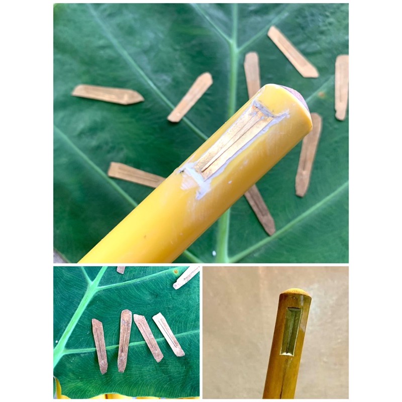 ลิ้นปี่จุม ลิ้นทองเหลือง