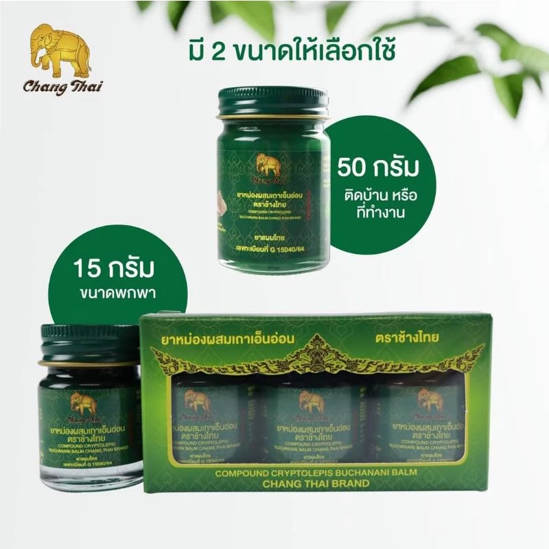 ยาหม่องเขียว ผสมเถาเอ็นอ่อน ตราช้างไทย