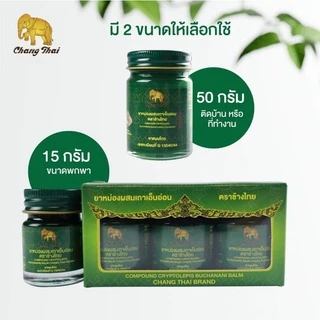 ยาหม่องเขียว ผสมเถาเอ็นอ่อน ตราช้างไทย