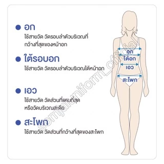 เสื้อสาบหลัง ( จุฬา ) อกถึง 66 นิ้ว - สีขาวปกติ รอบคอกว้าง วงแขนกว้าง
