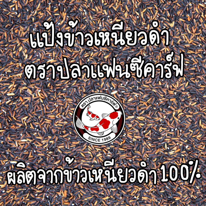 รูปภาพ 8