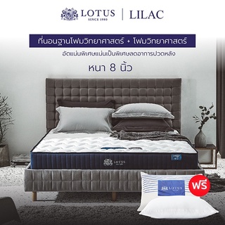 LOTUS ที่นอน (สเปคแน่นเป็นพิเศษ) รุ่น Lilac หนา 8 นิ้ว ฟรี หมอนหนุนสุขภาพกันไรฝุ่น ส่งฟรี