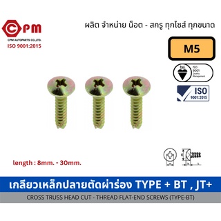 สกรู เกลียวเหล็กปลายตัดผ่าร่อง TYPE +BT+ JT+ (รุ้ง) ขนาด M5 [CROSS TRUSS HEAD CUT THREAD FLAT-END SCREWS (TYPE-BT)]