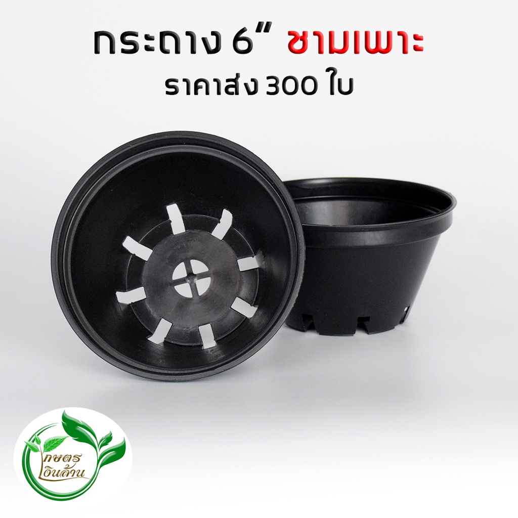 [ขายส่ง]เกษตรเงินล้าน กระถางก้นแหลม6นิ้ว ราคาส่ง 300 ใบ อย่างดี By.คิม เกษตรเงินล้าน