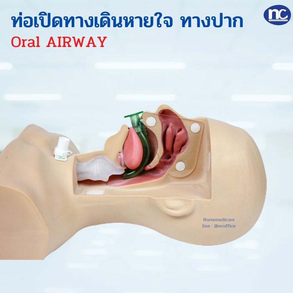 ท่อเปิดทางเดินหายใจ ทางปาก ท่อทางปาก Oral Airway | Shopee Thailand