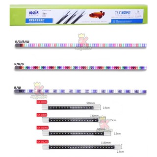 Roxin LED Lamp หลอดไฟ LED Arowana  ใช้สำหรับตู้ปลามังกร บ่อปลา ตู้ปลา หลอด LED