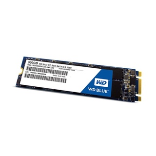 WDSSD500GB-M.2 3DNAND 5YEAR Model : WDSSD500GB-M.2-3D-5YEAR / SATA SOLID STATE DRIVE