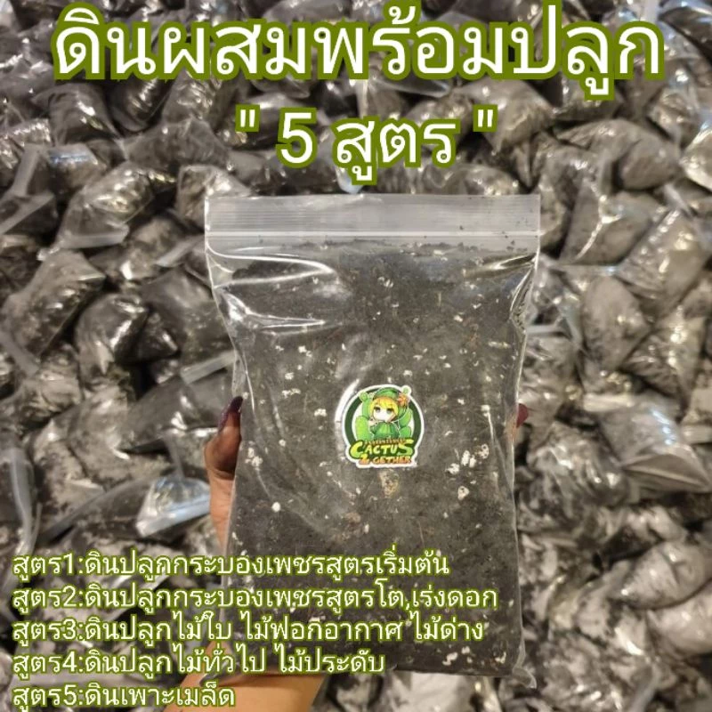 ดินผสมพร้อมปลูกกระบองเพชร ไม้ฟอกอากาศ ไม้ในร่ม ไม้ใบ ไม้ด่าง ดินเพาะเมล็ด ดินกุหลาบ🌹ข