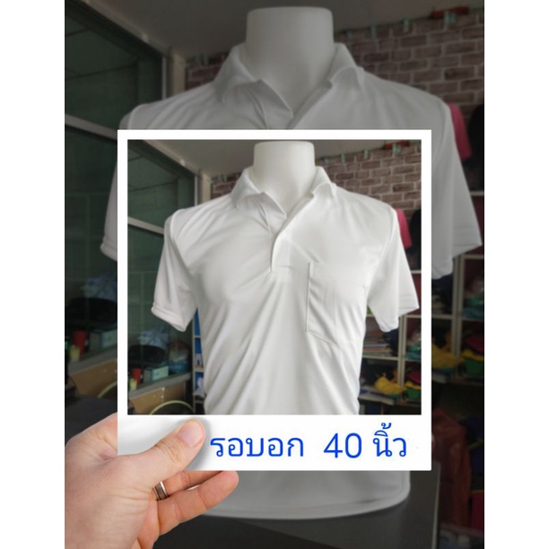 My Image 20