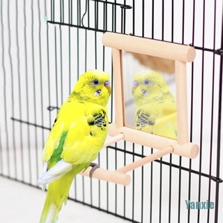 (Yanxie) ของเล่นนก พร้อมกระจก