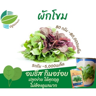 ผักโขม (Amaranth)​ #ผักโขมเขียว