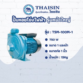 ปั๊มหอยโข่งไฟฟ้าหน้าใหญ่ THAISIN ขนาด 1 แรง ขนาดท่อ 1" 1HP รุ่น TSM-100M-1