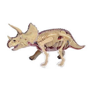 4D Vision หุ่นจำลองไดโนเสาร์ Triceratops 4 มิติ