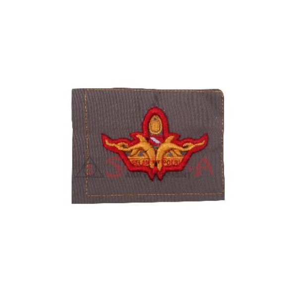 PDL ปัก Bet มีโลโก้ดําน้ําตํารวจ - Bet ปักนูน