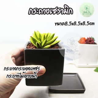 กระถางเซรามิกทรงเหลี่ยมจตุรัสมีจานรอง สีขาว สีดำ 8.5x8.5cm แบบมีจานรอง กระถางแคตตัส กระถางไม้อวบน้ำ เซรามิก