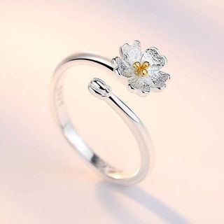 แหวนดอกซากุระ • Sakura Ring