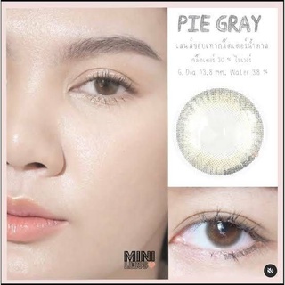 Contact lens คอนแทคเลนส์ Wink Pie Gray สีเทา (0.00) ค่าสายตาปกติ