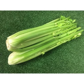 เซเลอรี่สด ปลอดสารพิษ- เซเรอลี่ มีใบรับรองปลอดสาร เซรารี่ เซลารี่ Celery ผักสด ขึ้นฉ่ายฝรั่ง ขึ้นช่ายฝรั่ง