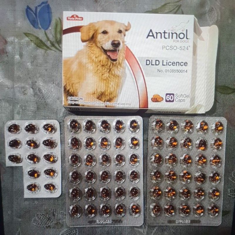 Antinol dog ช่วยบำรุงข้อสุนัข 1 กล่อง 60เม็ด แถม 13 เม็ด &lt;&lt; ของแท้ &gt;&gt;