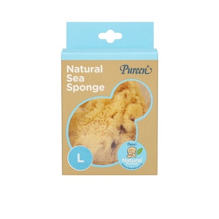 Pureen - ฟองน้ำธรรมชาติ จากทะเลเมดิเตอร์เรเนี่ยน(Natural Sea Sponge) Size L