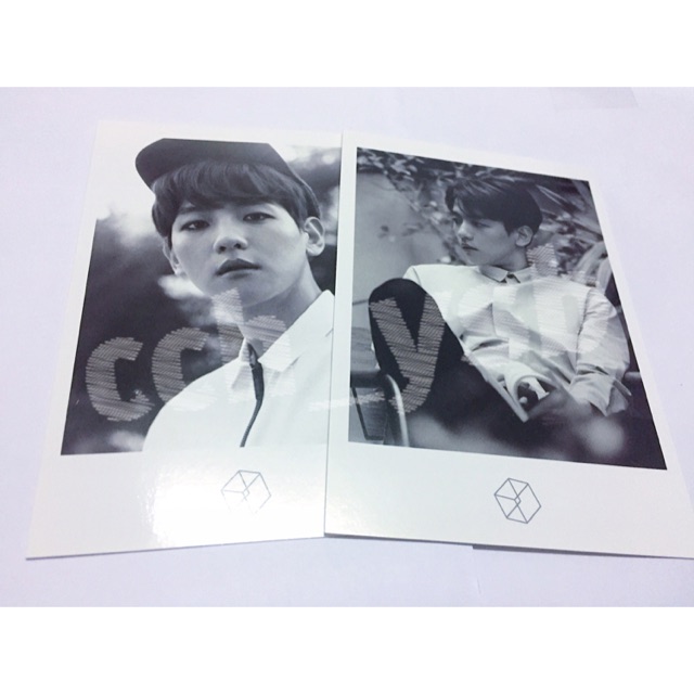 รูปโพลาลอยด์ - EXODUS