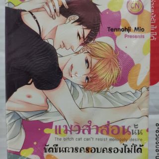 การ์ตูนวายมือสอง แมวสำส่อน