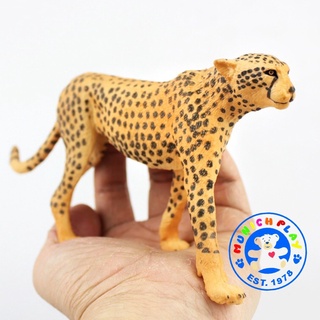 Munich Play - เสือชีตาห์ เสือดาว ขนาด 19.00 CM (จากหาดใหญ่)