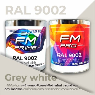 สี RAL 9002 Grey white