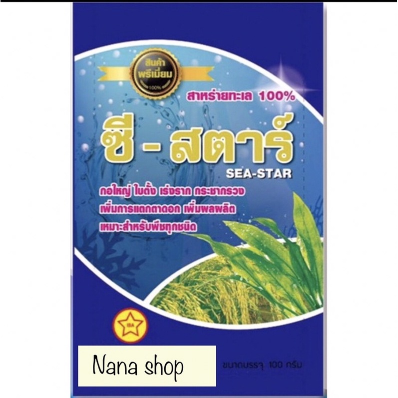 ซี-สตาร์ กอใหญ่ ใบตั้ง รากสะบึม เพิ่มผลผลิต 100 กรัม สาหร่ายทะเลนำเข้า เกรดพรีเมี่ยม