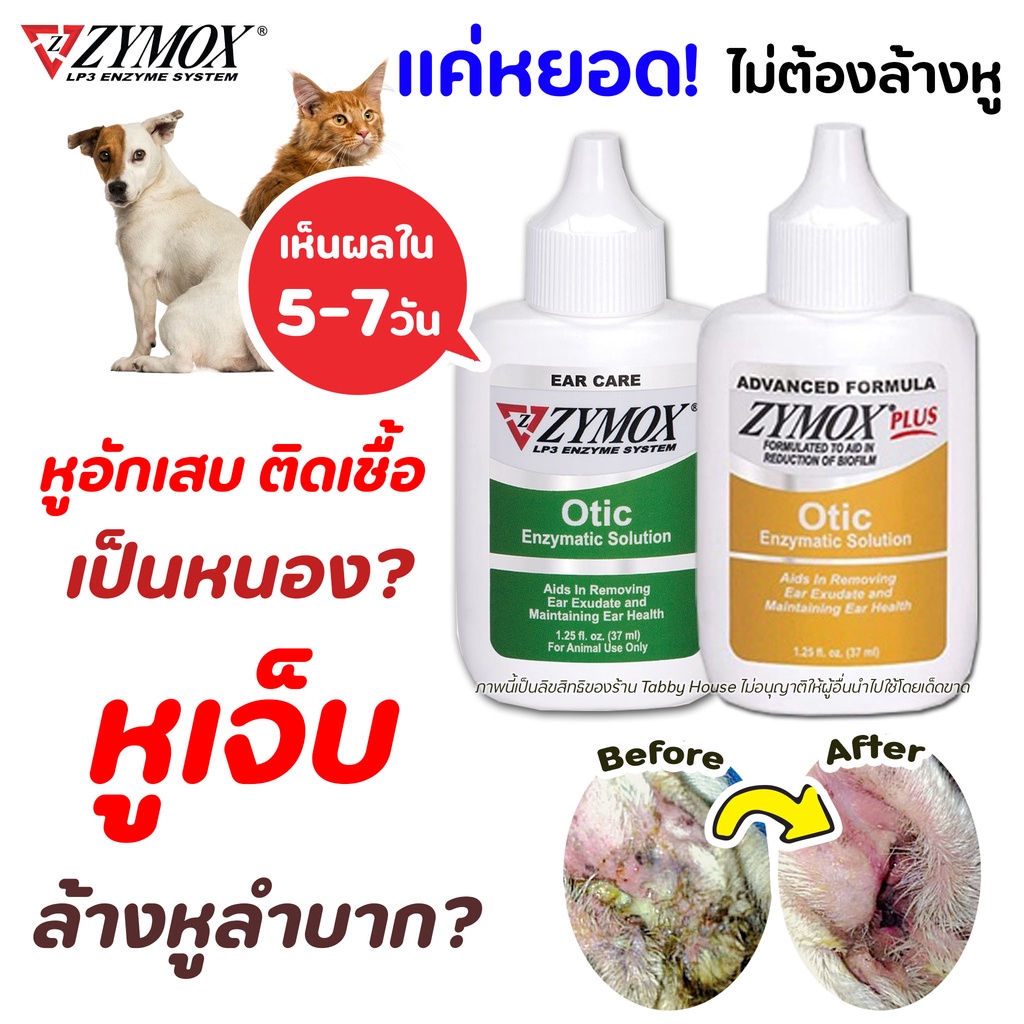 ZYMOX Otic หยอดหู ดูแลหูอักเสบแบบเฉียบพลัน เรื้อรัง เชื้อรา ยีสต์ แบคทีเรีย สำหรับสัตว์เลี้ยง จากUSA