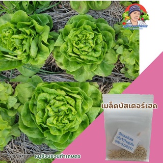 เมล็ด​บัสเตอร์เฮด​150-200  เมล็ด​(หมูอ้วนชวนทำเกษตร)​