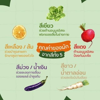 เมล็ดพันธุ์ผักสวนครัว ผักพื้นบ้าน 10 บาท / 12แถม2