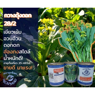 กวางตุ้ง กวางตุ้งดอก ผักกาดกวางตุ้ง กวางตุ้งดอกฮ่องกง 28/2 (80 กรัม) เมล็ดกวางตุ้งดอก เมล็ดพันธุ์ผักสวนครัว ตราลูกโลก