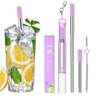 Stainless Steel Outdoor Portable Retractable Straw Set / Reusable Straw with Storage Box And Cleaning Brush