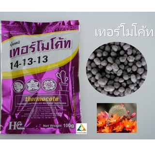 ปุ๋ยเทอร์โมโค้ท Thermocote ปุ๋ยละลายช้าสูตรญี่ปุ่น สูตร 14-13-13 สำหรับ แคคตัส ไม้ดอก ไม้ประดับ ร้านกองดินสามเหลี่ยม