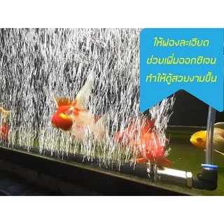 ออกซิเจนบาร์ตู้ปลา 30-100 เซน สวยงามติดตั้งง่าย [จัดส่งทุกวัน] OXYGEN BAR FOR FISH TANK 30-100 CM