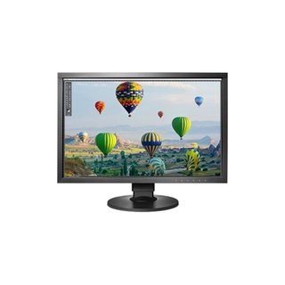 LCD MONITOR - CS2410