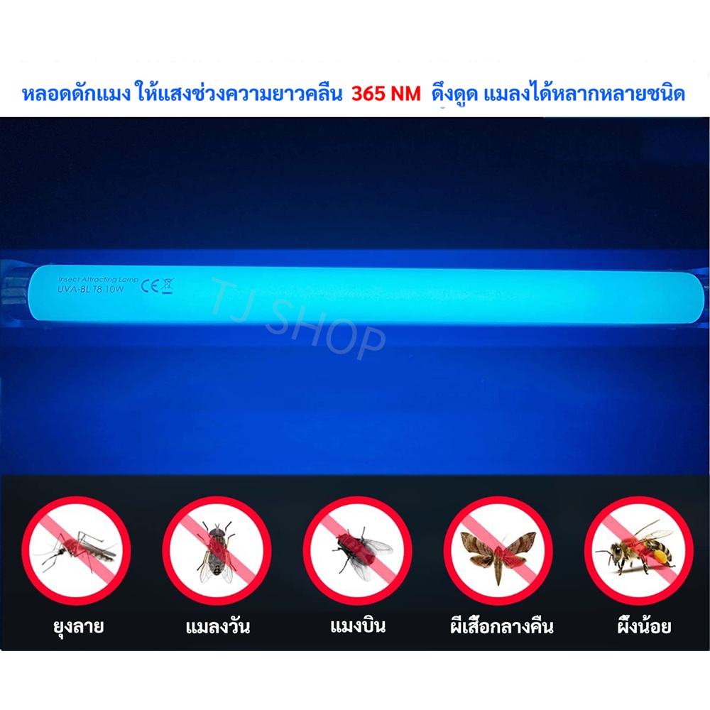 ✨ ซื้อเยอะ ยิ่งคุ้ม ST หลอดนีออน แบล็คไลต์ ดักยุง และ แมลง T8 10W 15W 18W แสงฟ้า กระชอน แมงดา แมงเล่นไฟ หลอดล่อแมลง $$$ รูปที่ 7
