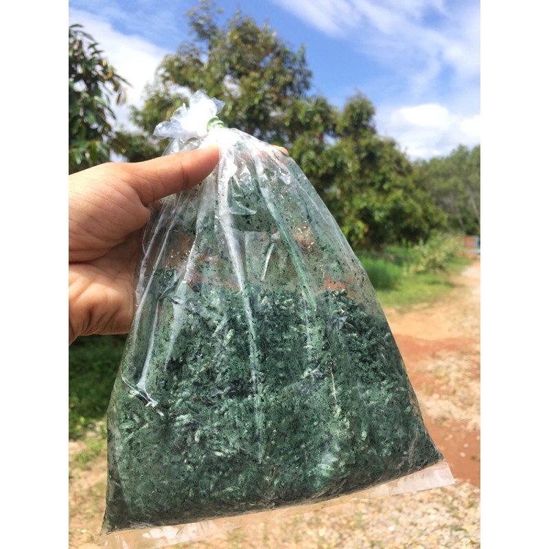 1 kg. เพียง 70฿ ไตรโคเดอร์มา แก้ปัญหาโรคพืช รากเน่า โคนเน่า เหี่ยว เน่าคอดิน