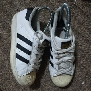 adidas superstar size 22.5cm เบอร์ 36