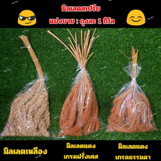 มิลเลตสเปร์ยแดง มิลเลตสเปร์ยเหลือง เกรดA สำหรับนกนานาชนิดและแฮมเตอร์เตอร์ อาหารนก มิลเล็ตสเปร์ย (1กิโลกรัม)