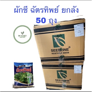 ผักชี ฉัตรทิพย์ ยกลัง 50 ถุง