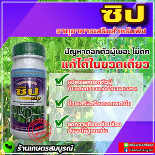 ยาแปลงเพศแตงกวา แตงร้าน ฮอร์โมนแปลงเพศ ซิป 100/500 มล. ตราปทุมทอง