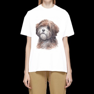 เสื้อลายหมา DTT004 tibetan terrier เสื้อยืด เสื้อยืดลายหมา เสื้อยืดสกรีนลายหมา