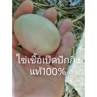 ไข่เชื้อเป็ดปักกิ่งแท้100%1ฟอง