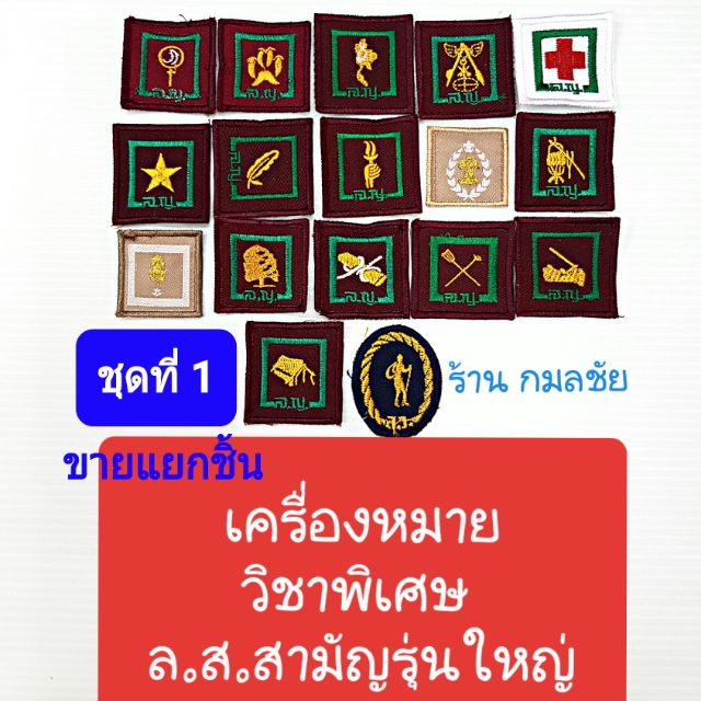 เครื่องหมายวิชาพิเศษลูกเสือสามัญรุ่นใหญ่ ป้าย ป้ายลูกเสือ ป้ายวิชาพิเศษลูกเสือ ลูกเสือ ลูกเสือสามัญร