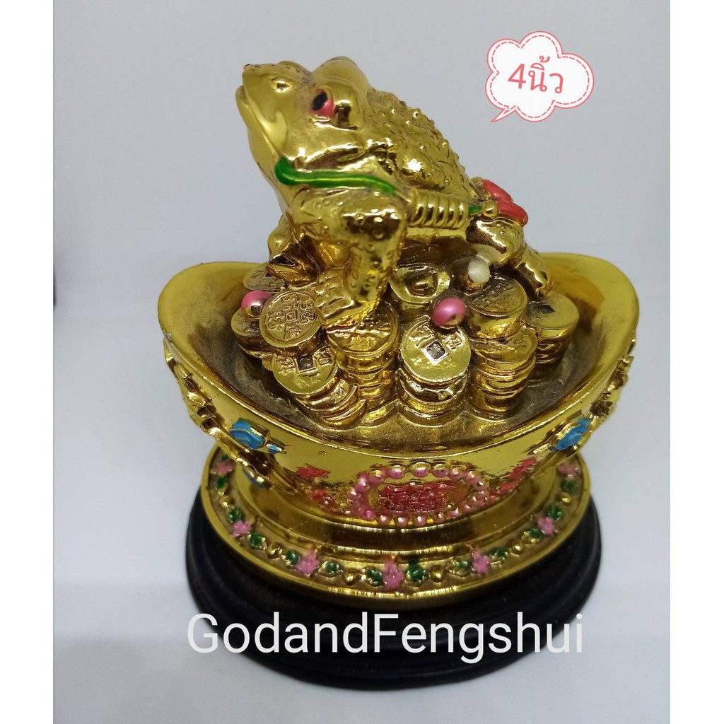 My Image 20